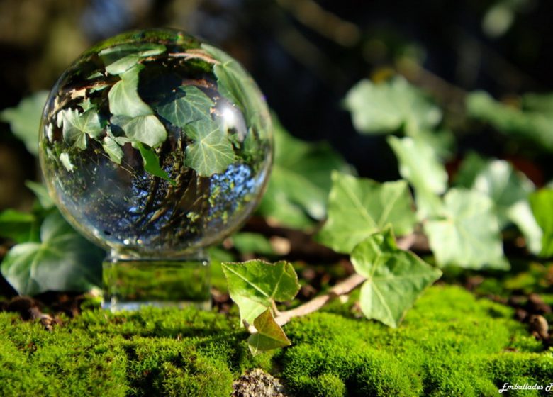 Balade photographique « spécial lensball » à Liré