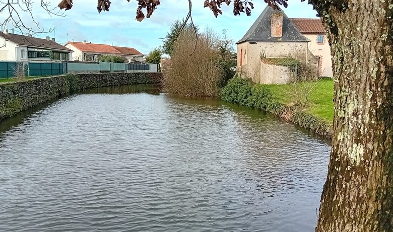 Pêche dans le plan d’eau de la Loge