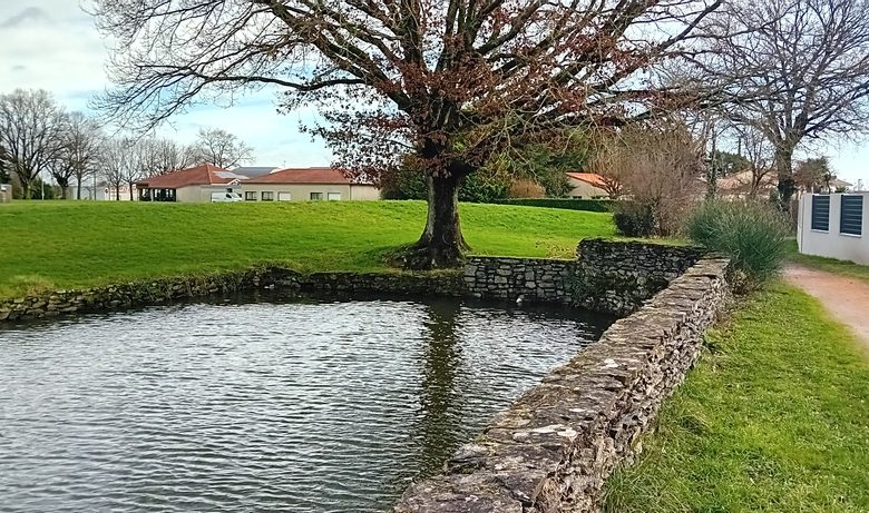 Pêche dans le plan d’eau de la Loge