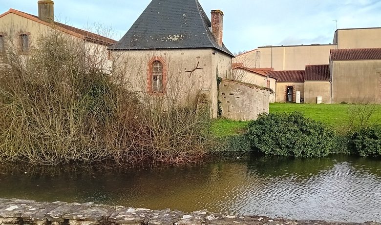 Pêche dans le plan d’eau de la Loge