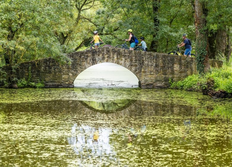 LA LOIRE À VÉLO (ST-FLORENT-LE-VIEIL – CHAMPTOCEAUX)