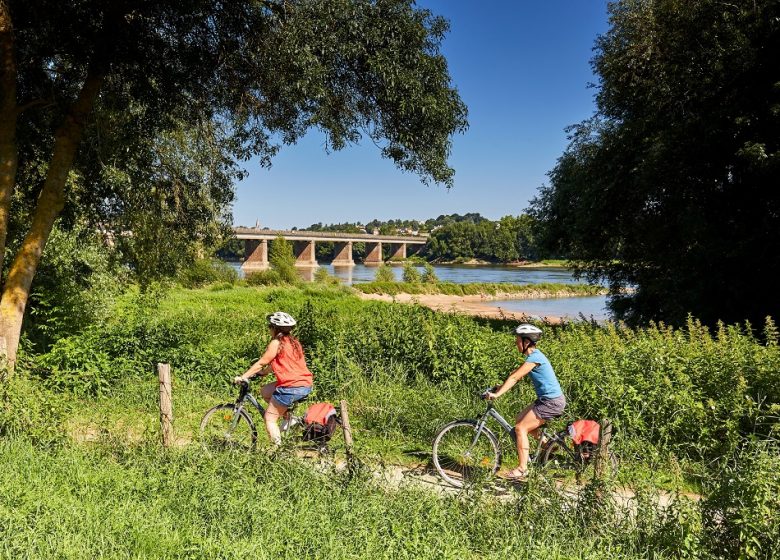 LA LOIRE À VÉLO (CHAMPTOCEAUX – MAUVES SUR LOIRE)