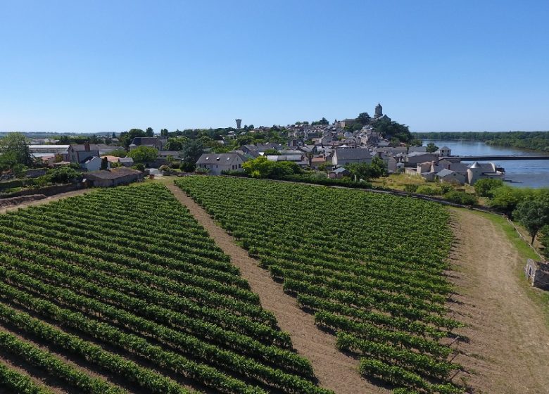 Visite du clos de vignes associatif La Pierre à Fourneau