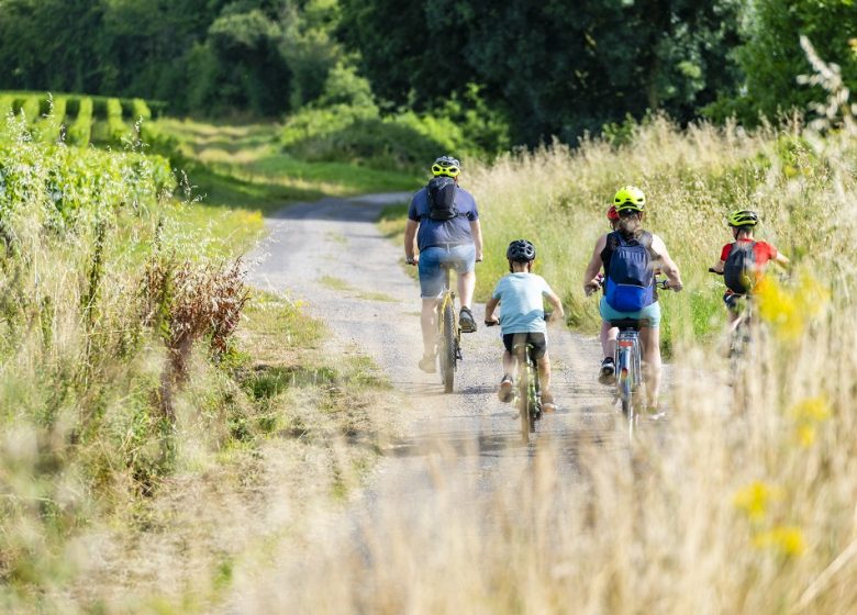 LA LOIRE À VÉLO (ST-FLORENT-LE-VIEIL – CHAMPTOCEAUX)