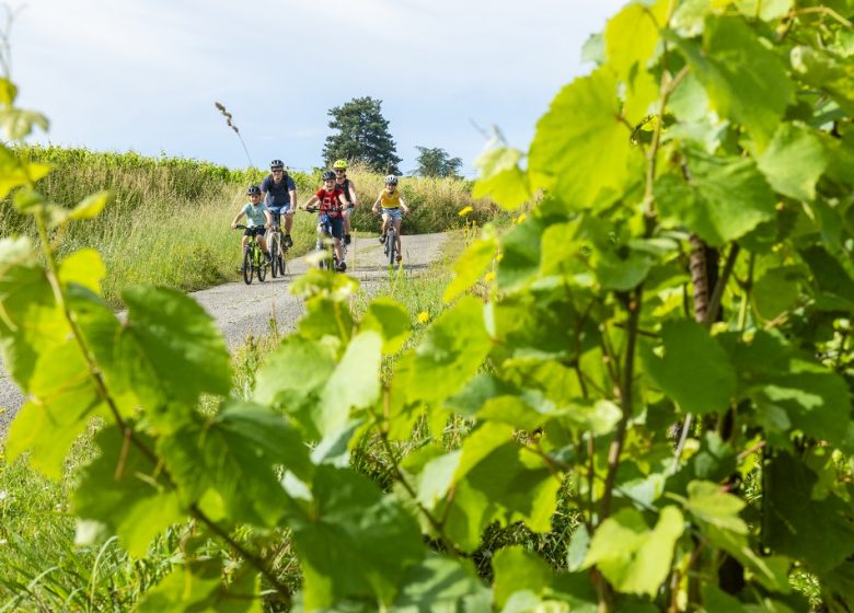 LA LOIRE À VÉLO (ST-FLORENT-LE-VIEIL – CHAMPTOCEAUX)